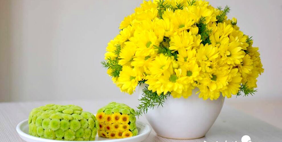 Cúc nhánh - Sắc hoa điểm tô cuộc sống