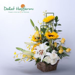Như ánh nắng sớm tươi mới, những cành lan vũ nữ vàng rực và hướng dương rạng rỡ trên nền trắng mịn màng của hoa lily và hồng Avalanche gợi nên hình ảnh về một tươi lai tươi đẹp phía trước. Lẵng hoa này là lời chúc thành công và may mắn gởi đến người nhận khi họ bước vào một hành trình mới trong cuộc sống.